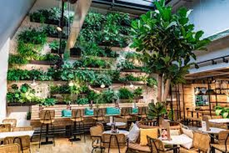 Inside the Outback’s First Zero-Waste Café